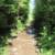 The boardwalk at Monument Portage.  The forest service and portage crews create these boardwalks in places where it is dangerous or boggy.  This set of boardwalks have been here for years.